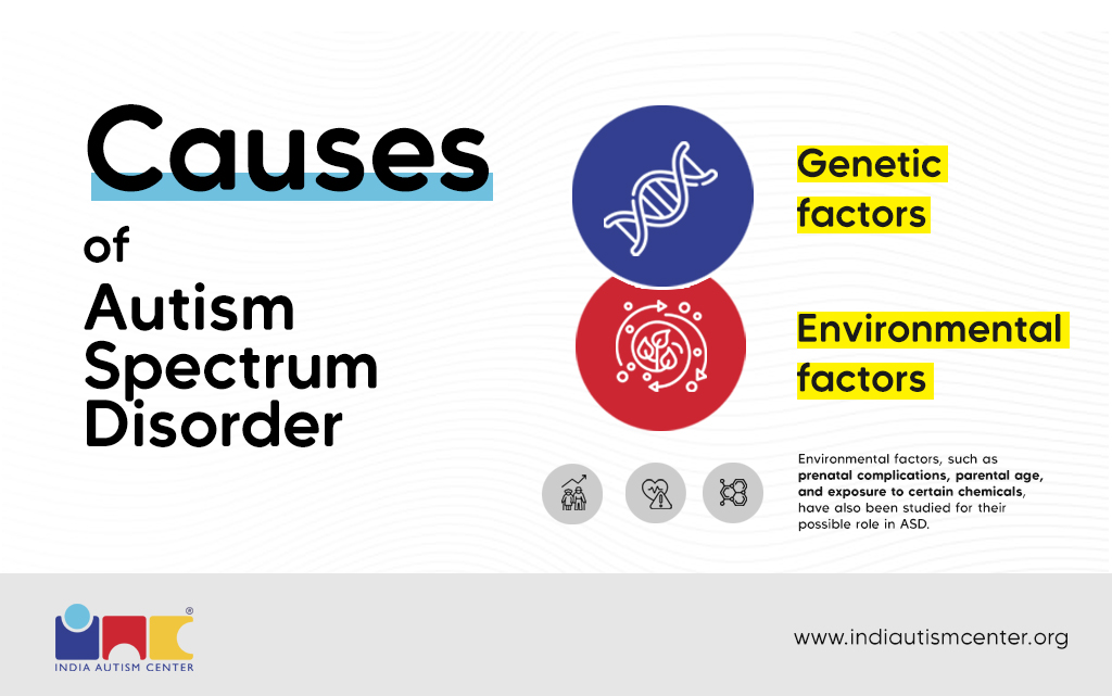 Infographic of potential causes of autism spectrum disorder, including genetic and environmental factors.